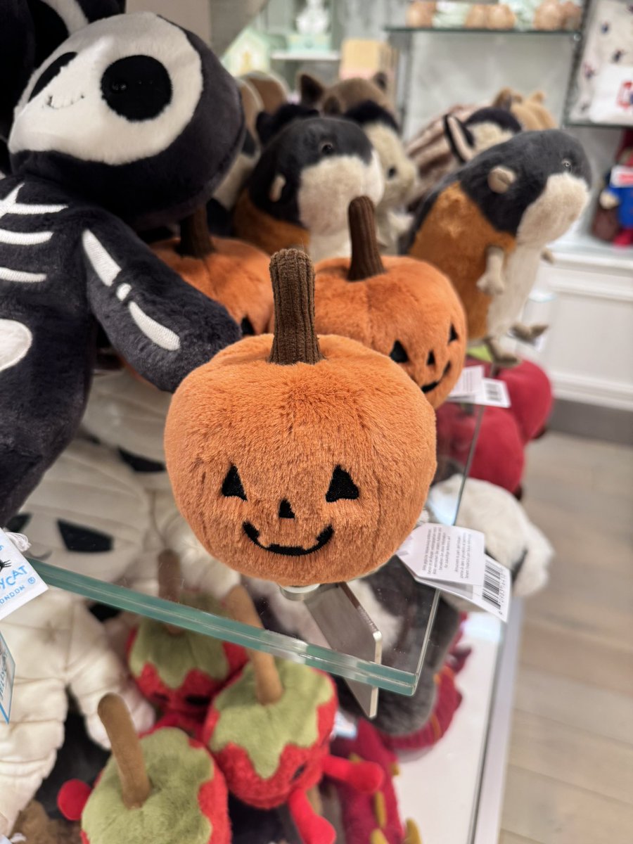 Sam Webb Photography tweet media