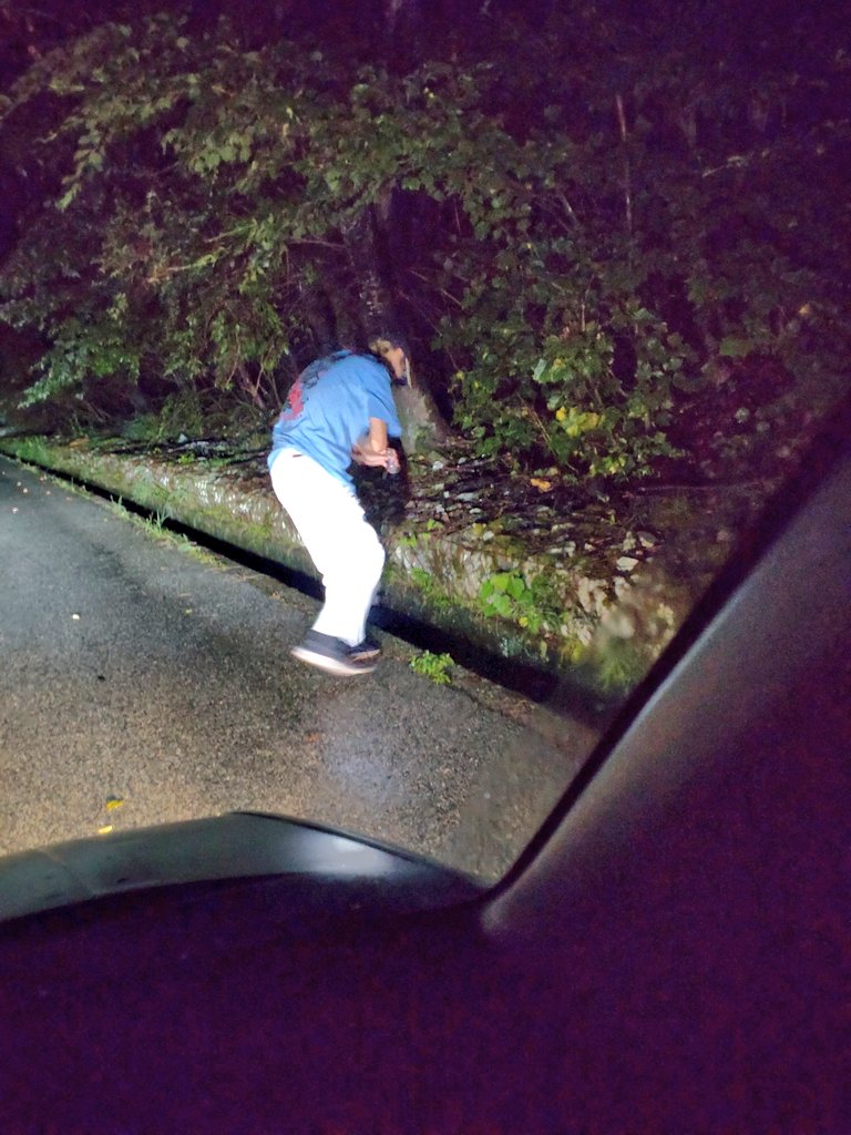 mikeko18's tweet image. 立派なヒキガエルを見つけ
嬉し過ぎてお膝に乗せて可愛がるまだら汁(怒)！

お山に来てよかったね！