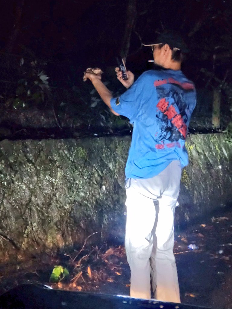 mikeko18's tweet image. 立派なヒキガエルを見つけ
嬉し過ぎてお膝に乗せて可愛がるまだら汁(怒)！

お山に来てよかったね！