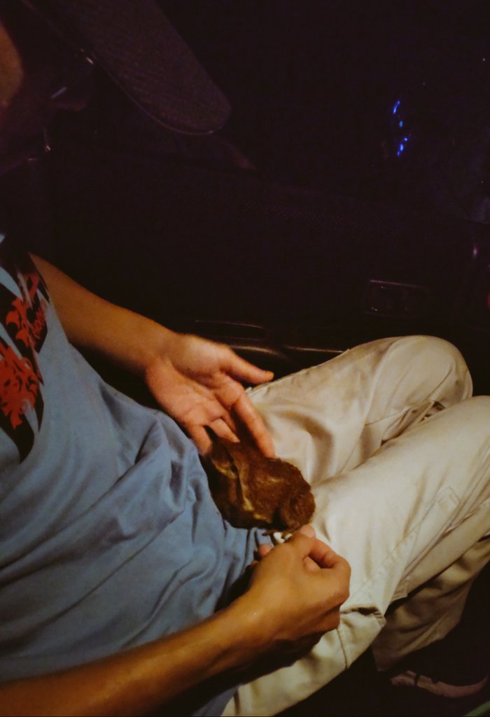 mikeko18's tweet image. 立派なヒキガエルを見つけ
嬉し過ぎてお膝に乗せて可愛がるまだら汁(怒)！

お山に来てよかったね！