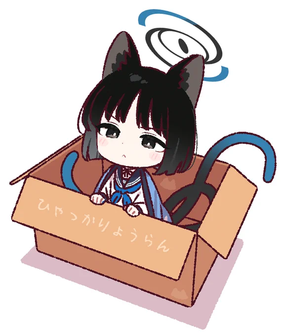 箱入りキキョウさん
