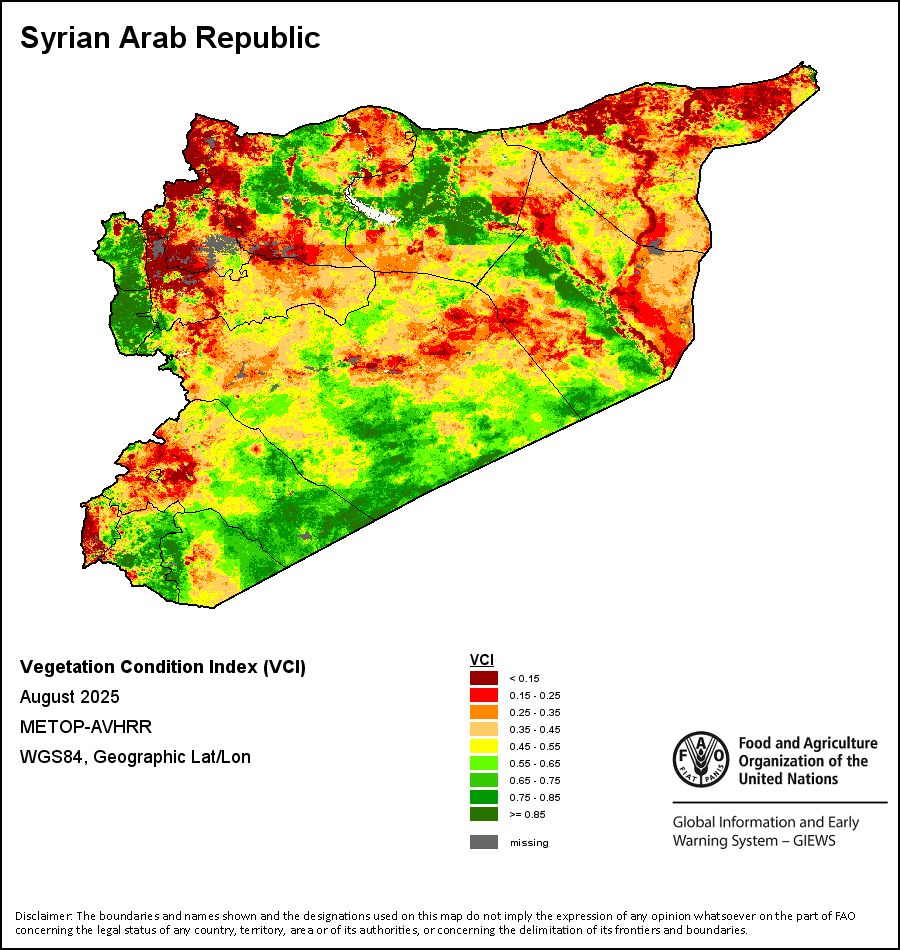 In Syria in Figures with <a href="/KShaar_Advisory/">Karam Shaar Advisory Limited</a>, we were among the first to talk about the drought in Syria.

In our article “Ringing the Alarm Bells: Syria May Be Facing Its Worst Drought in Decades” we warned that the worst was about to happen for the agricultural sector... and it