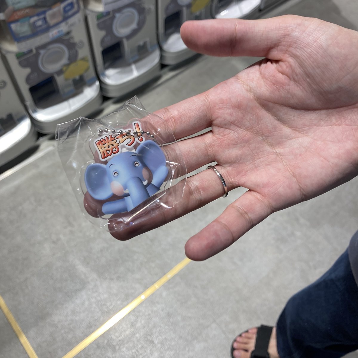 かなた (@t2a1z) on Twitter photo 