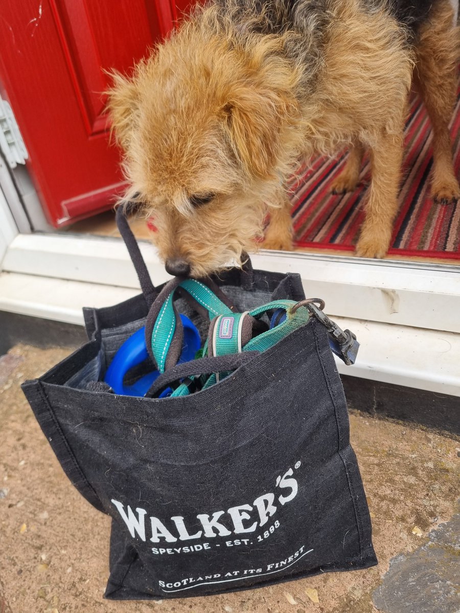 RobGrayWriter's tweet image. The late (and wonderful) Sir Jim Walker once kindly gave me a goodybag filled with tasty Walker&apos;s @Shortbread treats. Contents devoured pronto! Yesterday my wife found the bag &amp;amp; deemed it perfect for dogs leads. Now Gus, our Lakeland Terrier, is a huge walkers/Walker&apos;s fan too.