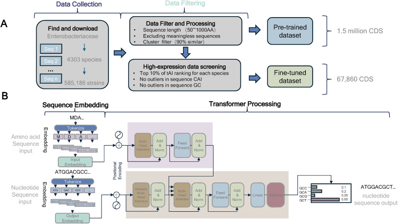 BioDesignR's tweet photo. DeepCodon: AI tool boosts gene expression via smart codon optimization! #DeepLearning #CodonOptimization
Details: https://t.co/lCKNo1qkzE https://t.co/64WtbNojuM