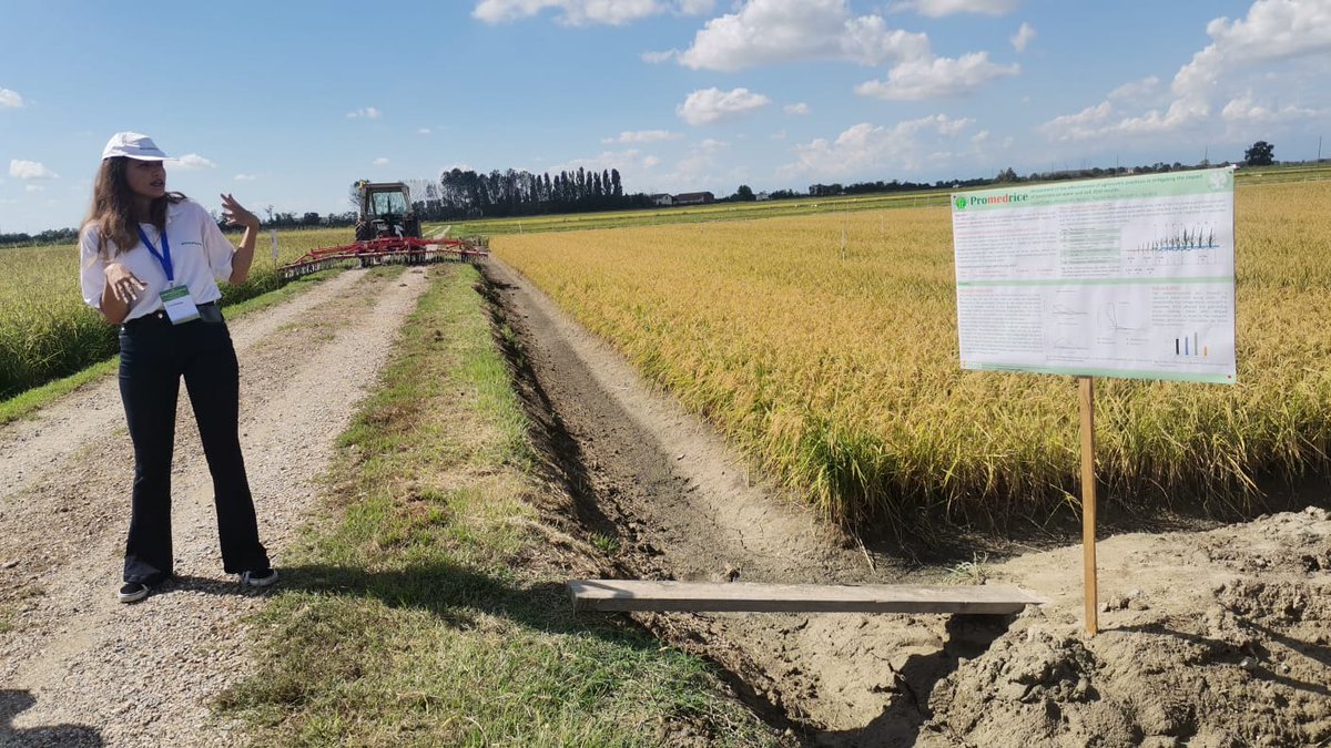 <a href="/LaStatale/">Università degli Studi di Milano</a> and <a href="/EnteRisi/">ENTE NAZIONALE RISI</a> expertises united to carry out both #MEDWATERICE as well as <a href="/PROMEDRICE/">PROMEDRICE_PRIMA</a>
research activities in Italy.   
Such collaborations and events like this one with over 120 attendees from different countries increase both <a href="/PrimaProgram/">PRIMA Program Mediterranean Partnership 🇪🇺</a> project impacts 💪