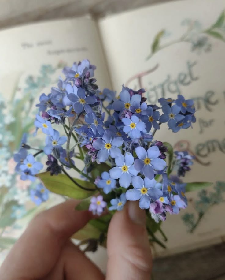 blue dream (@bluedreamvibes) on Twitter photo 