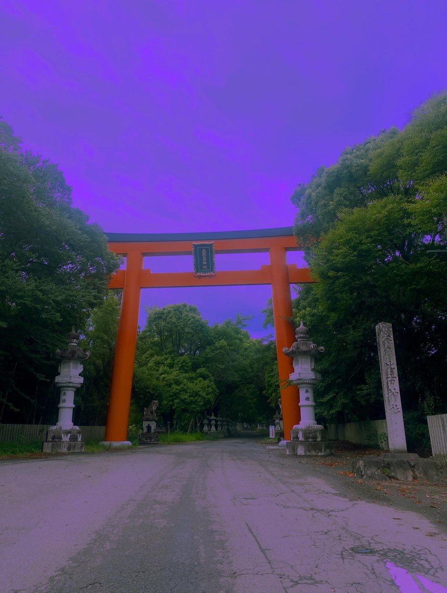 空中水泳 tweet media