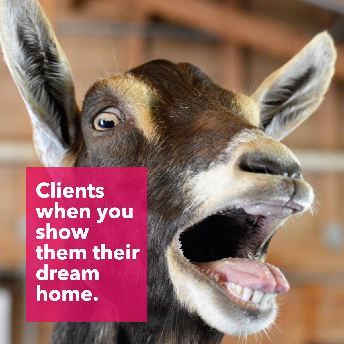 mortgagethat's tweet image. Showing a client their dream home is always a moment to remember! 👌

What does your dream home look like? 🏡

#DreamHome #ClientGoals #HomeShowing #RealEstateAgent #Buyers #GOAT