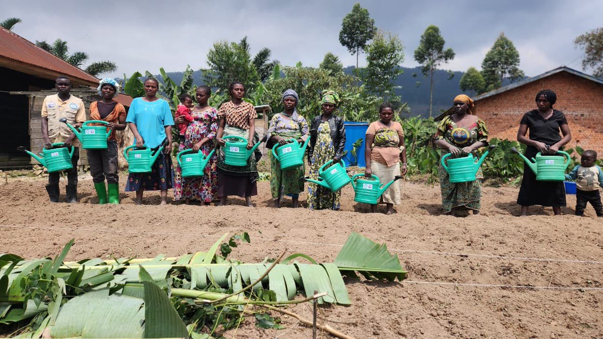 ffcrdc's tweet photo. Au Nord-Kivu, les femmes de Lubero renforcent leur résilience face au changement climatique !
Avec l’appui du fonds pour les femmes congolaises , la #LIFEN met en place des germoirs de légumes et dote les bénéficiaires d’arrosoirs pour améliorer les rendements.
Résultat : plus de sécurité alimentaire et des revenus supplémentaires pour les ménages.
#Autonomisation #FemmesRurales #ChangementClimatique #FFC
