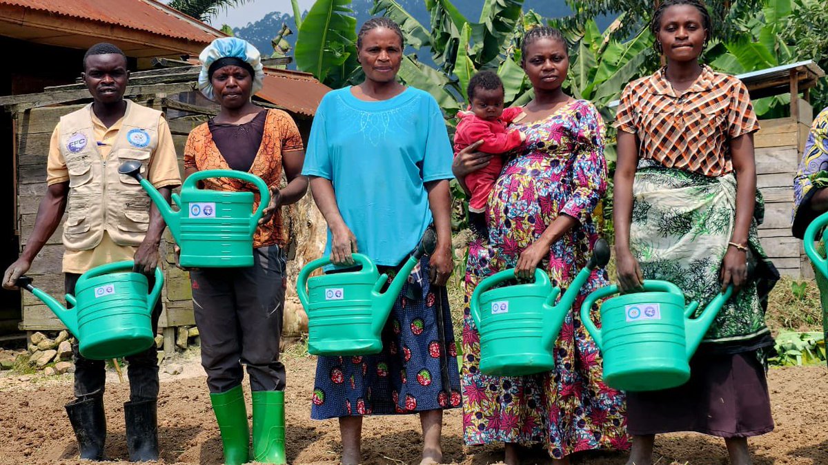 ffcrdc's tweet photo. Au Nord-Kivu, les femmes de Lubero renforcent leur résilience face au changement climatique !
Avec l’appui du fonds pour les femmes congolaises , la #LIFEN met en place des germoirs de légumes et dote les bénéficiaires d’arrosoirs pour améliorer les rendements.
Résultat : plus de sécurité alimentaire et des revenus supplémentaires pour les ménages.
#Autonomisation #FemmesRurales #ChangementClimatique #FFC