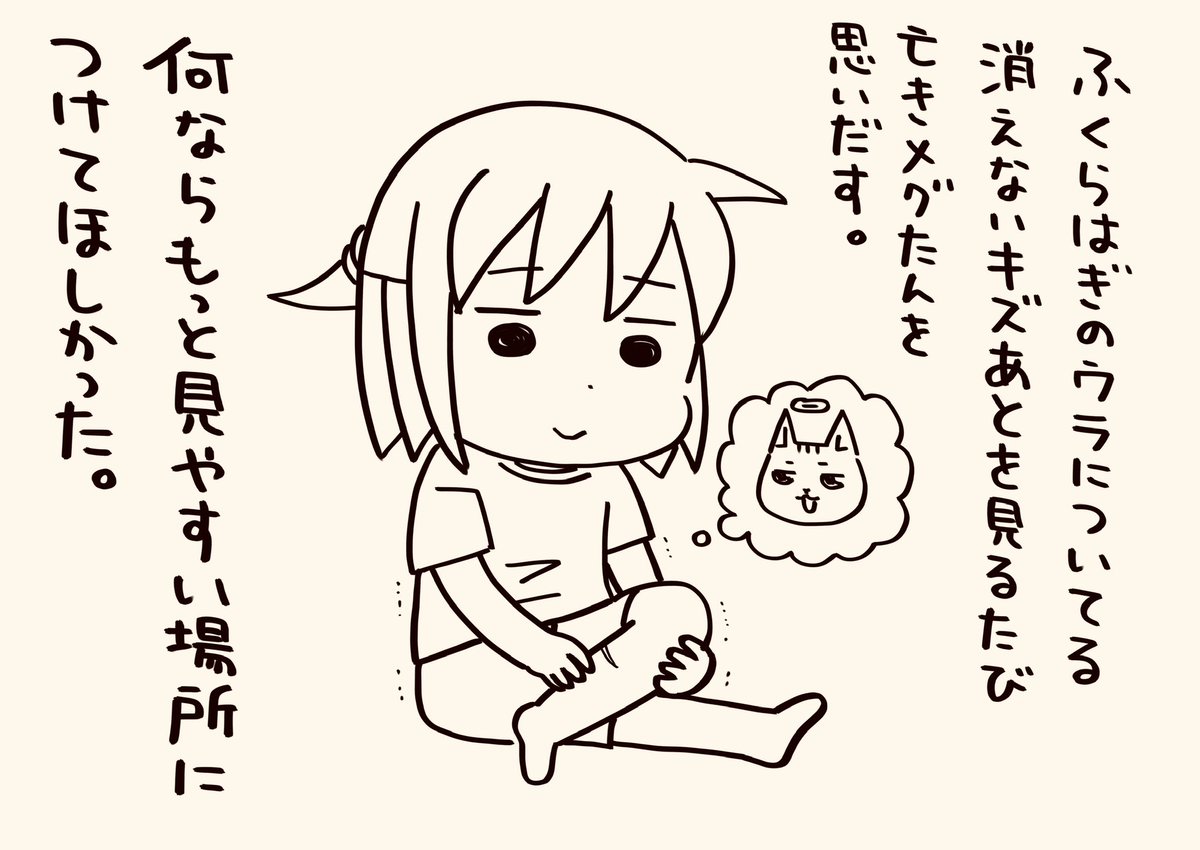 毎回見るたびに股関節が悲鳴あげてる

#猫が4匹いる暮らし 