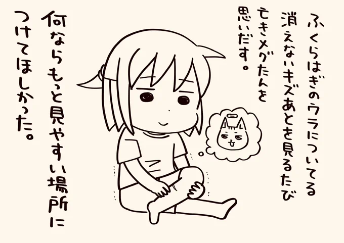 毎回見るたびに股関節が悲鳴あげてる

#猫が4匹いる暮らし 