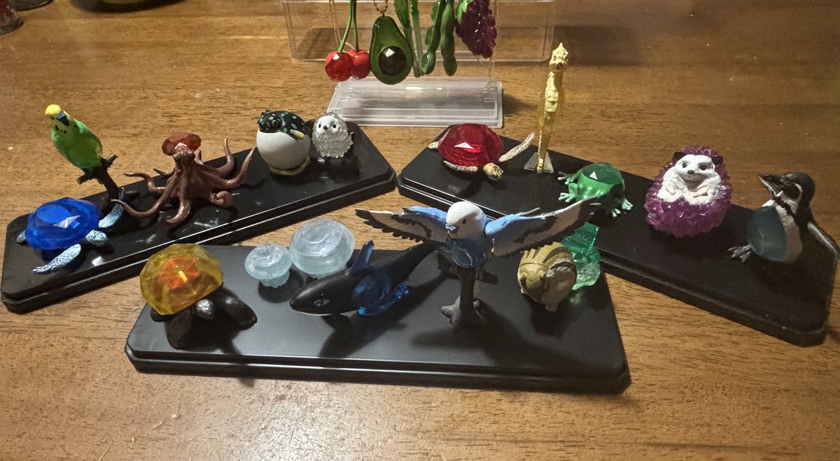 Hanako122624's tweet photo. 遅ればせながら
生物×宝石3全コンプ！！！
新シリーズの度にぎゃわいい！！でコンプしてるけど増えたなぁ…まだまだ増えてくれよ… https://t.co/teSwGeb471