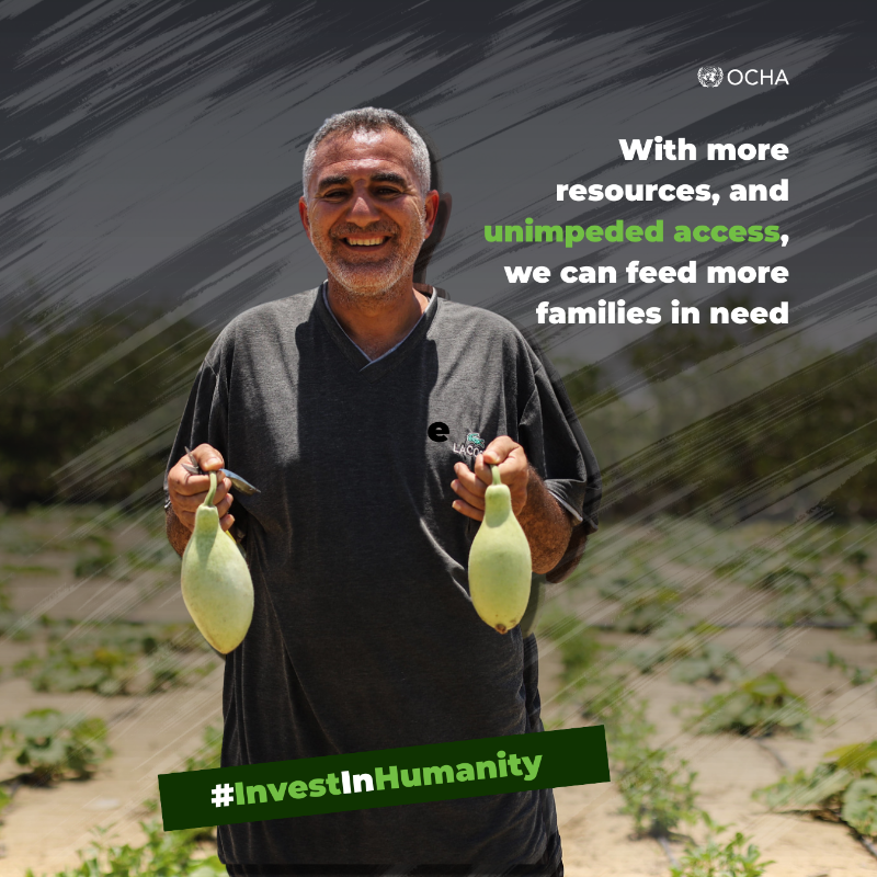 UNOCHA's tweet photo. Amid famine in #Gaza, a few small-scale farmers, supported by @FAO and the oPt Humanitarian Fund @CBPFs, are still managing to grow vegetables.

These efforts bring vital nutrition and hope.

But with only 1.5% of farmland accessible, they remain extremely fragile👇