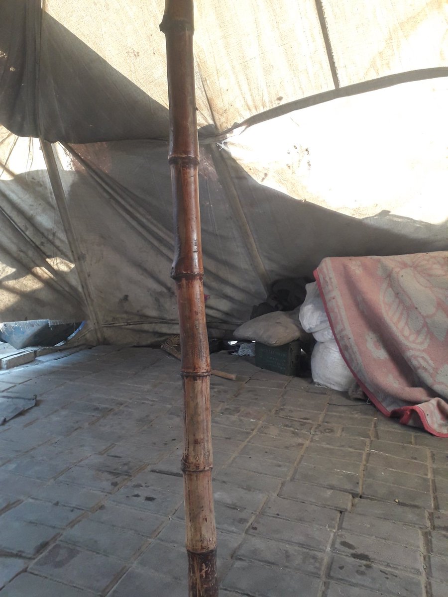 Samira Musab (@musabsamir73233) on Twitter photo 