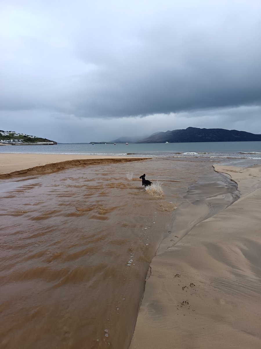 DesGingerarse's tweet photo. Beach and pub

Beach and pub

Ad infinitum 

#Ballymastocker https://t.co/YylfvSJFWh