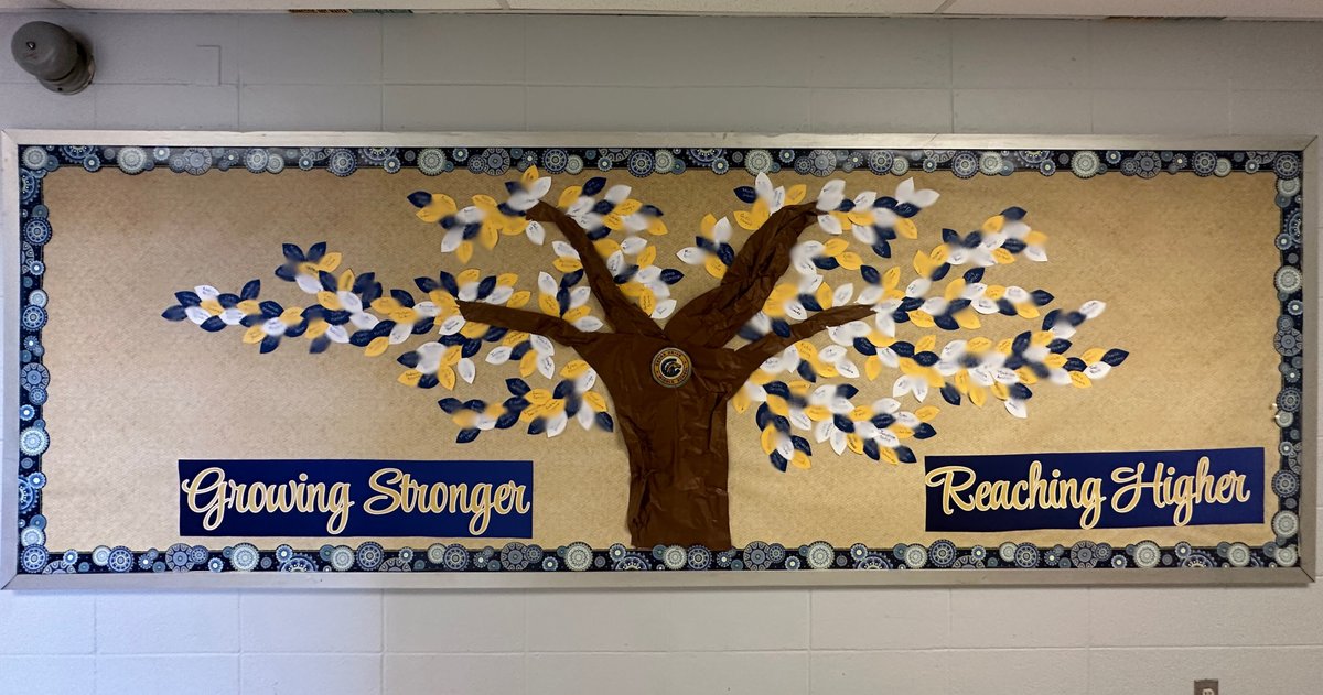At CDMS, we know we’re stronger together. 💙 Every day is a step toward Growing Stronger, Reaching Higher. 🚀 Let’s lift each other up! #WeAreCDMS