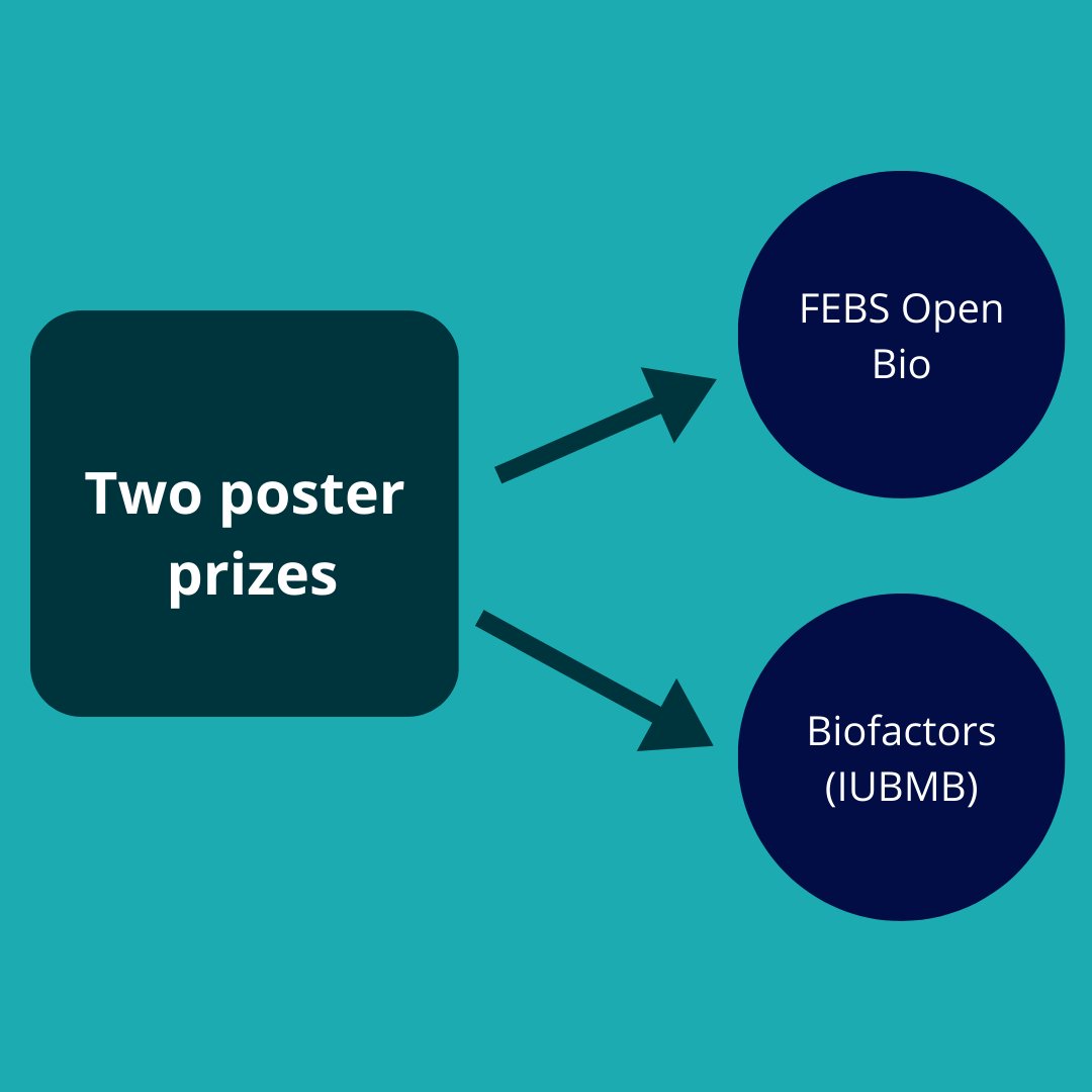 ENABLE Conference tweet media