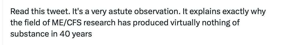 Whitney Dafoe tweet media