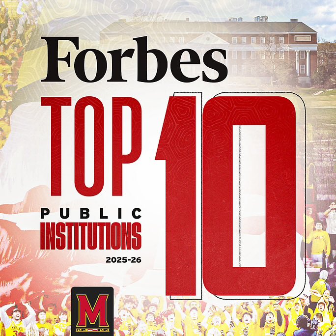 Fear the Turtle, and lead with excellence! 🐢