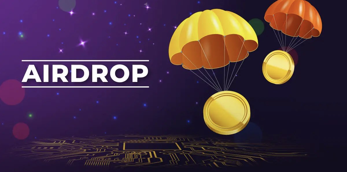 Gary the Paperhand🐌 tweet media