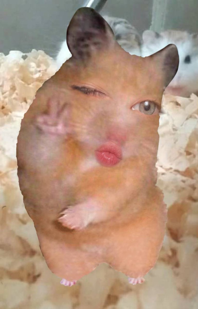 allgdrbeer's tweet image. 