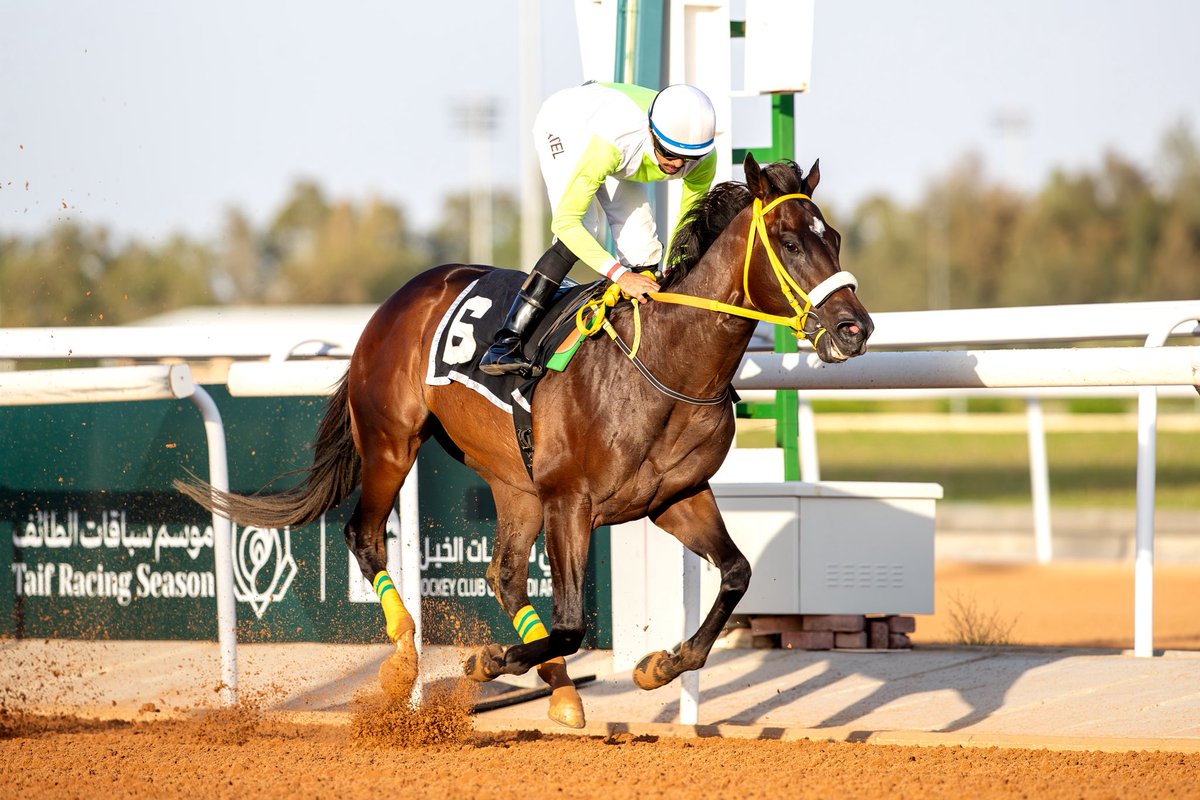 JockeyClub_SA tweet picture