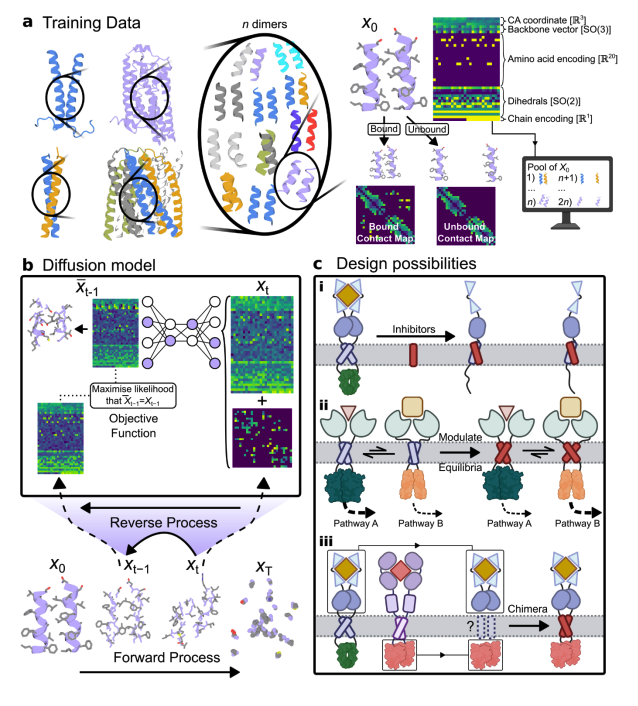 KevinKaichuang's tweet image. A joint sequence-structure diffusion model for transmembrane proteins!