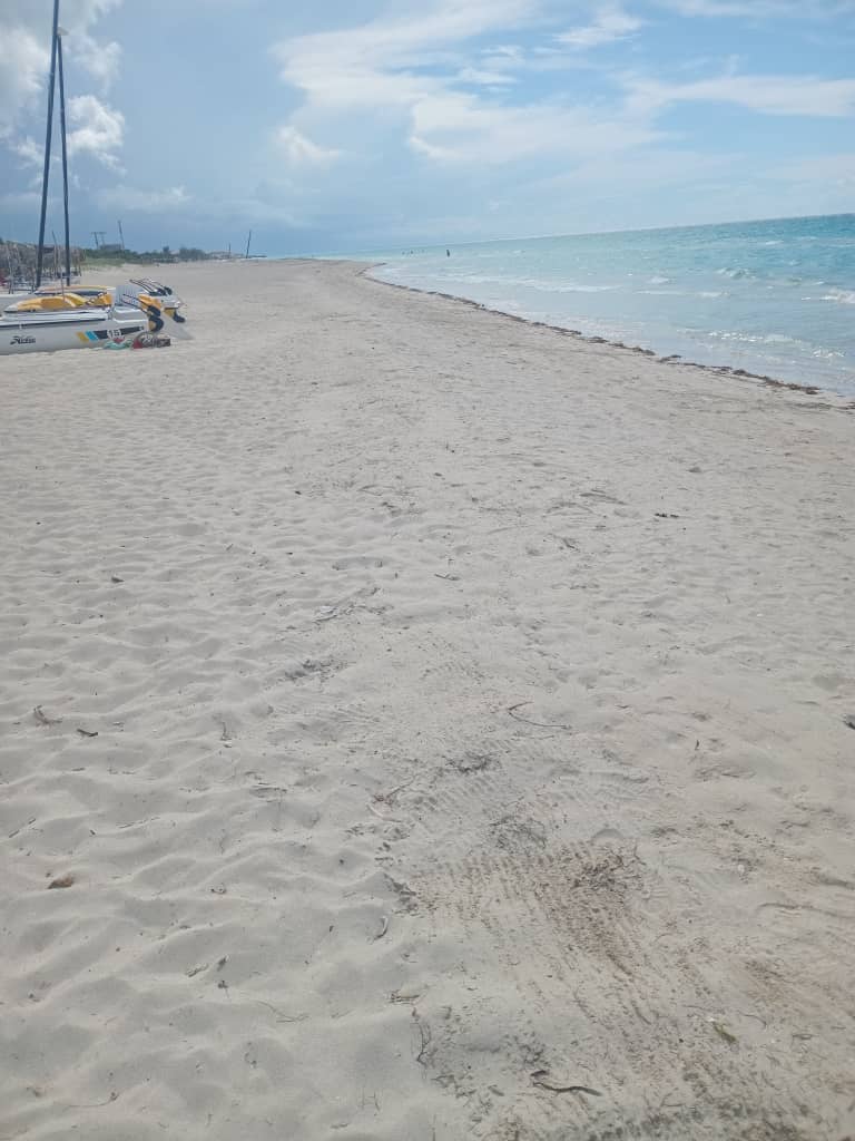 TandronLaura's tweet photo. Mantener nuestra playa tarea de todo el #TeamBlau
#BlauVaradero
#CubanacanVaradero
#PlayaSostenible https://t.co/0WwANXvmaO