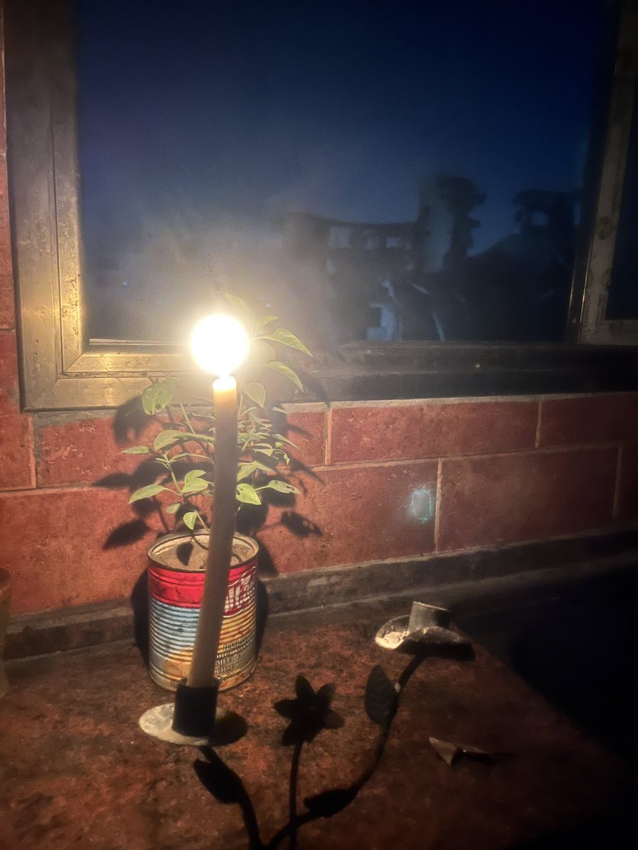 Weeks of relentless Israeli forced displacement orders have passed, and now the destruction has reached entire residential towers. The bombardments are nearing my area, but I still find myself reluctant to pack yet another displacement bag. After I finally managed to return to