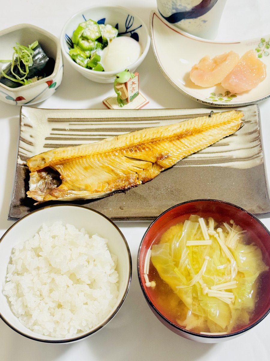 🍚朝ご飯しっかり

ルークと遊んで来ます🐕🚶‍♂️…