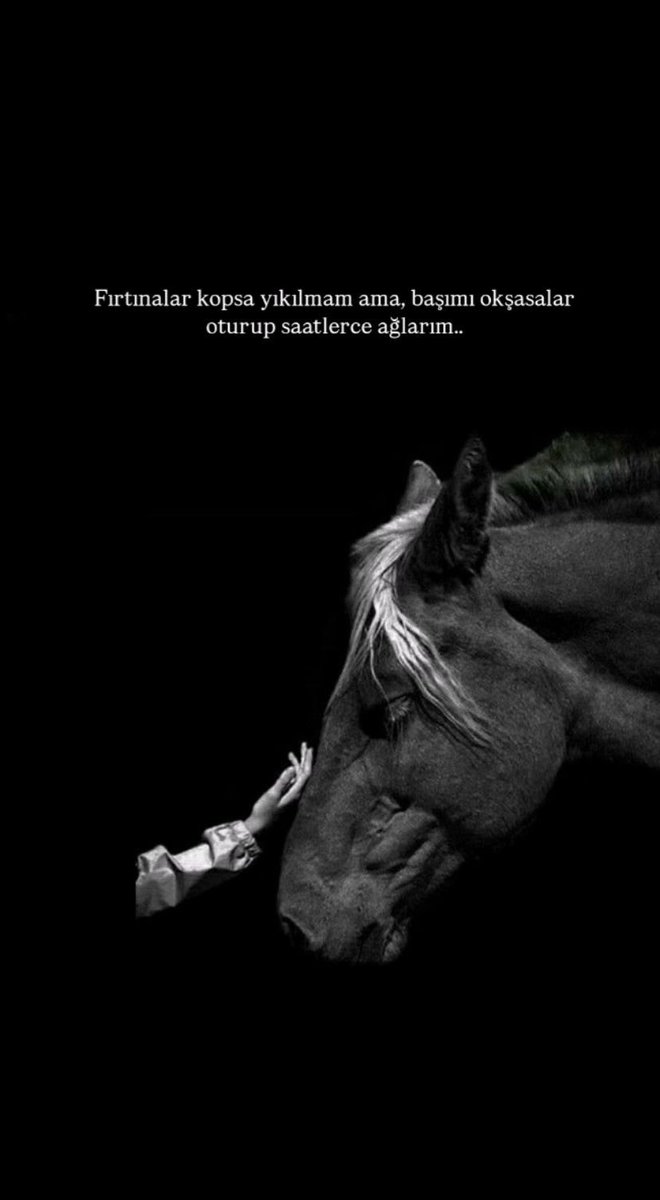 yusuf (@hizmtmovement) on Twitter photo 