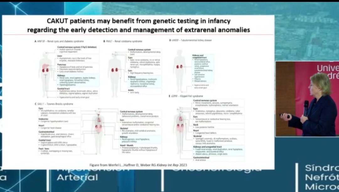 Romina Escalante (@romisoleecc) on Twitter photo Junior Master Class IPNA- ALANEPE. Viña del Mar 🇨🇱 2025
CAKUT - Dra Ruthild Gisela Weber
<a href="/IPNA_PedNeph/">IPNA Ped Nephrology</a>
<a href="/IPNA_PedNeph/">IPNA Ped Nephrology</a> <a href="/ESPNSociety/">ESPN</a> Junior Master Class IPNA- ALANEPE. Viña del Mar 🇨🇱 2025
CAKUT - Dra Ruthild Gisela Weber
<a href="/IPNA_PedNeph/">IPNA Ped Nephrology</a>
<a href="/IPNA_PedNeph/">IPNA Ped Nephrology</a> <a href="/ESPNSociety/">ESPN</a>
