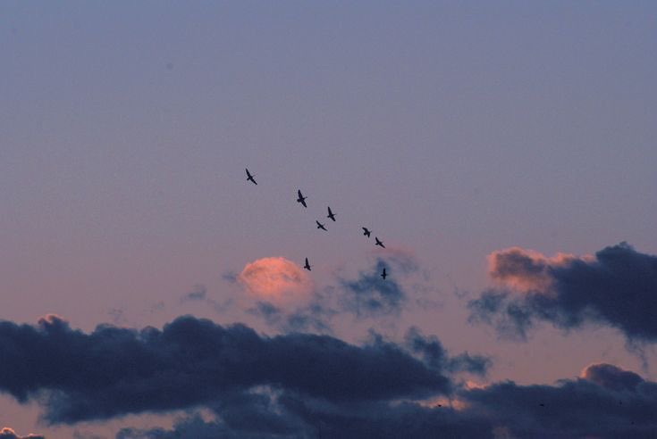 iAstroFaisal's tweet image. النظر للسماء عند الخروج من البيت سنة مهجورة 

عن أم سلمة رضي الله عنها قالت:

ما خرج النبي صلى الله عليه وسلم من بيتي قط إلا رفع طرفه إلى السماء فقال:

«اللهم إني أعوذ بك أن أَضِل أو أُضَل، أو أَزِل أو أُزَل، أو أَظلِم أو أُظلَم، أو أجهل أو يجهل علي»