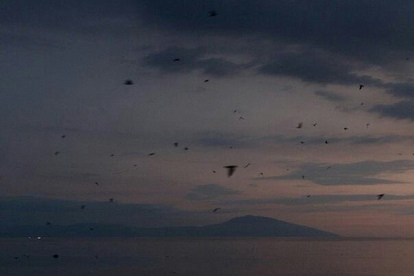 iAstroFaisal's tweet image. النظر للسماء عند الخروج من البيت سنة مهجورة 

عن أم سلمة رضي الله عنها قالت:

ما خرج النبي صلى الله عليه وسلم من بيتي قط إلا رفع طرفه إلى السماء فقال:

«اللهم إني أعوذ بك أن أَضِل أو أُضَل، أو أَزِل أو أُزَل، أو أَظلِم أو أُظلَم، أو أجهل أو يجهل علي»