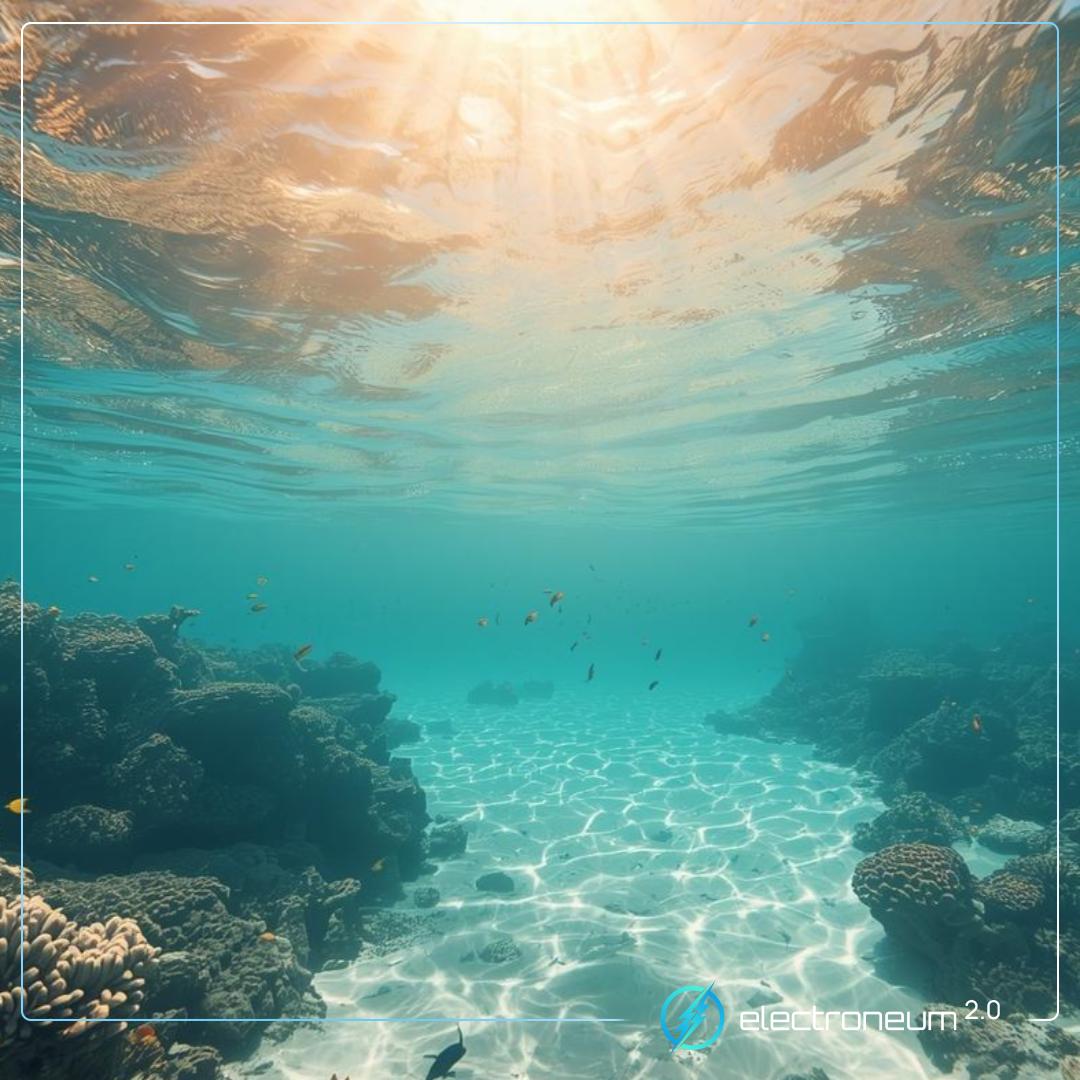 electroneum 2.0 tweet media