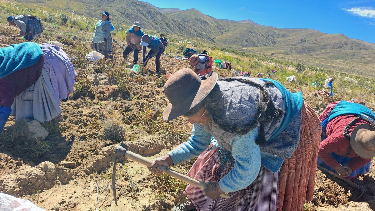 𝐃𝐈𝐀 𝐃𝐄 𝐋𝐀𝐒 𝐌𝐔𝐉𝐄𝐑𝐄𝐒 𝐈𝐍𝐃𝐈𝐆𝐄𝐍𝐀𝐒: 𝐋𝐀 𝐑𝐄𝐍𝐀𝐌𝐀𝐓 𝐅𝐎𝐑𝐓𝐀𝐋𝐄𝐂𝐈𝐄𝐍𝐃𝐎 𝐋𝐀 𝐌𝐈𝐑𝐀𝐃𝐀 𝐂𝐎𝐋𝐄𝐂𝐓𝐈𝐕𝐀 𝐂𝐎𝐍 𝐒𝐎𝐋𝐈𝐃𝐀𝐑𝐈𝐃𝐀𝐃 𝐘 𝐑𝐄𝐒𝐏𝐄𝐓𝐎 𝐀 𝐋𝐀 𝐌𝐀𝐃𝐑𝐄 𝐓𝐈𝐄𝐑𝐑𝐀
Hoy 5 de septiembre, Oruro - Bolivia, 2025