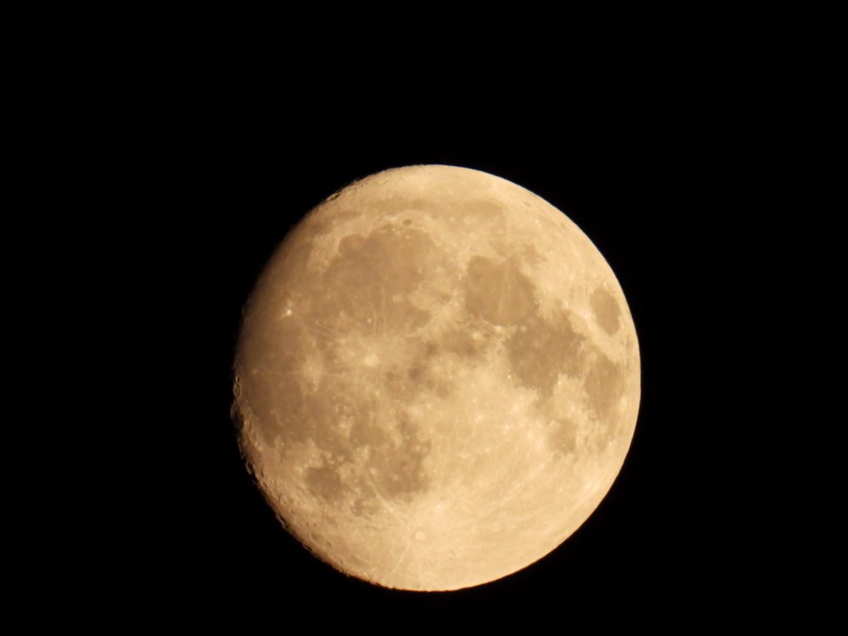 bakkerm1969's tweet photo. Weer ff 'gespeeld' met de Camera van Lief❤️ Wilde Hem vertellen @berkeldion..'Love You to the Moon and back' 💯😘
#almostfullmoon https://t.co/FFsowYdnaH