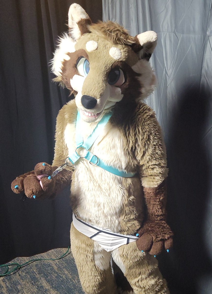 rare fursuit underwear pic for #FursuitFriday