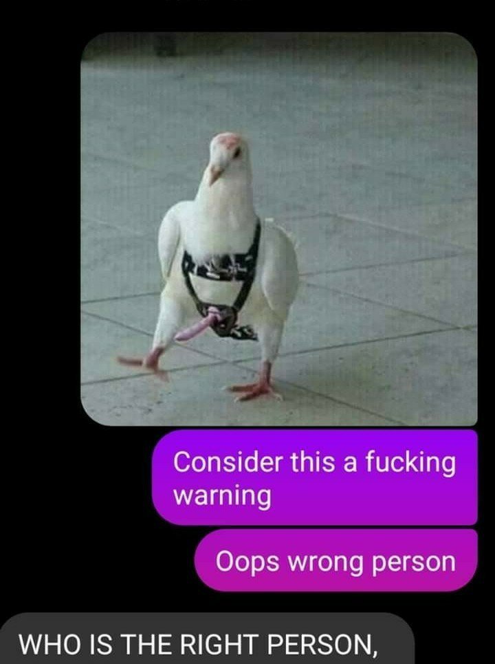 Apocolyspecloud's tweet image. ⚠️Warning⚠️