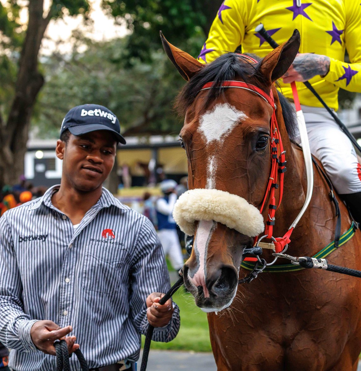 Di de Kock (@safgirl2) on Twitter photo Congratulations to Hollywood on Curious Girls lovely win. She’s a well bred daughter by Futura out of Idaho. Well done Craig Zackey. Well done to our team <a href="/DeKockRacing/">De Kock Racing</a>
<a href="/CandiesePhoto/">Candiese Lenferna</a> <a href="/Betway_za/">Betway ZA</a> Congratulations to Hollywood on Curious Girls lovely win. She’s a well bred daughter by Futura out of Idaho. Well done Craig Zackey. Well done to our team <a href="/DeKockRacing/">De Kock Racing</a>
<a href="/CandiesePhoto/">Candiese Lenferna</a> <a href="/Betway_za/">Betway ZA</a>