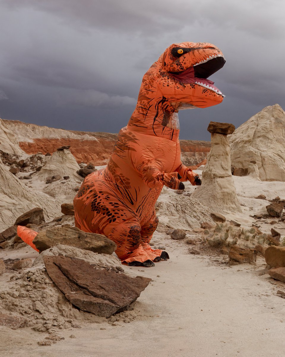 Finding Rex tweet media