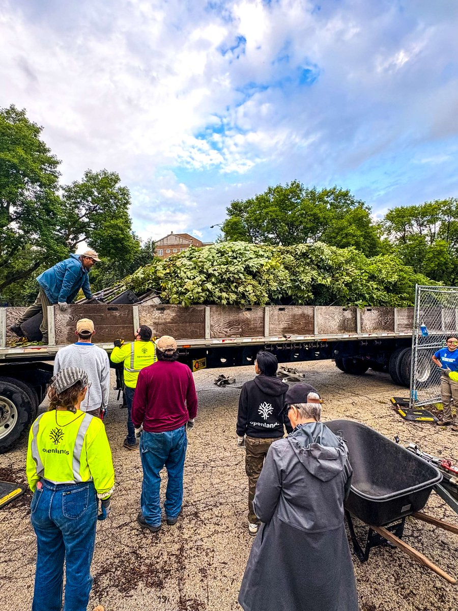 🌳 Fall tree planting season is here! Our Forestry team is excited to partner with grant recipients to grow green communities. 

Apply for the Openlands TreePlanters Grants today and make a difference! 🌱💚 ow.ly/oqBw50WRYtA