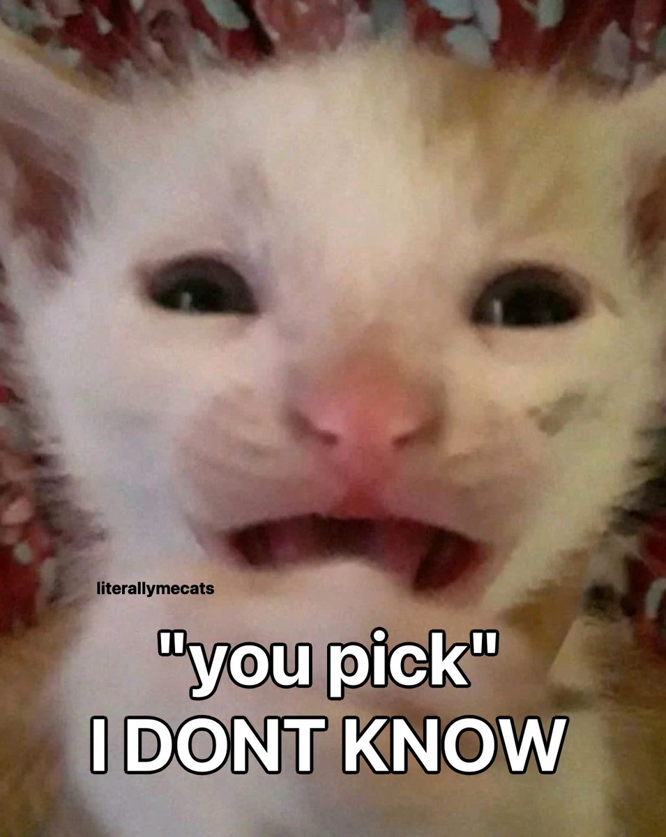 LiterallyMeCats (@literallymecats) on Twitter photo 