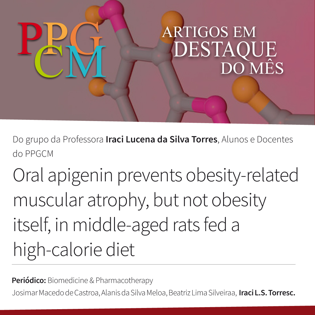 "💊Apigenina previne perda muscular em ratos obesos envelhecidos💊
Um estudo do PPGCM/UFRGS testou a apigenina, um composto natural, em ratos de meia-idade alimentados com dieta rica em calorias. 💊

Artigo completo em: sciencedirect.com/science/articl…