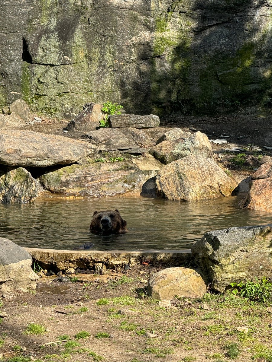 MeksPro's tweet image. Wait for a new piece of news to light up this page~ Keep expecting! ✨