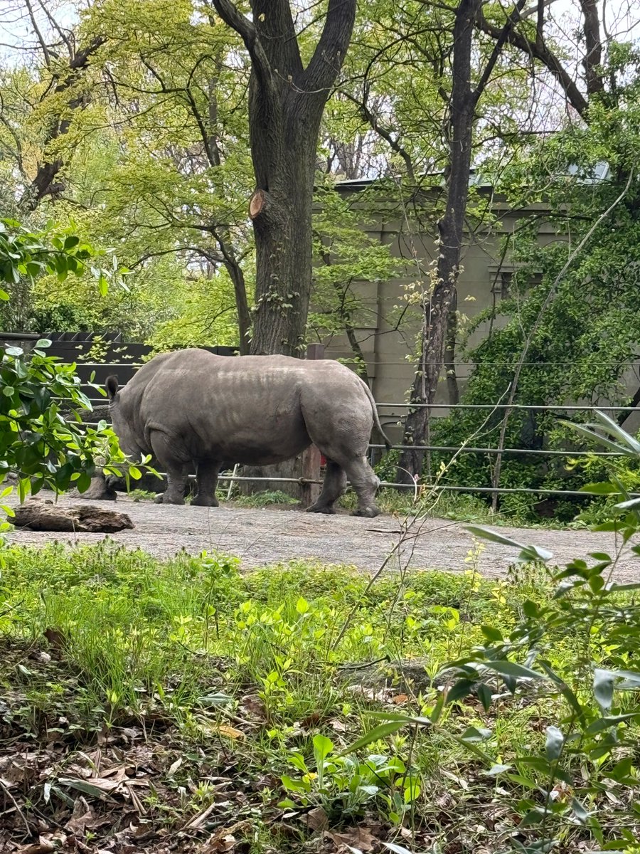 MeksPro's tweet image. Wait for a new piece of news to light up this page~ Keep expecting! ✨