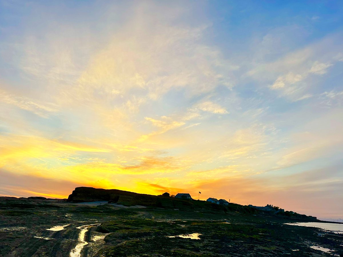 SteveOnHilbre's tweet image. A beautiful day @hilbrebirdobs despite the Glossy Ibis mega flock near miss! 🤦🏻‍♂️#Raven #Peregrine #SmallCopper