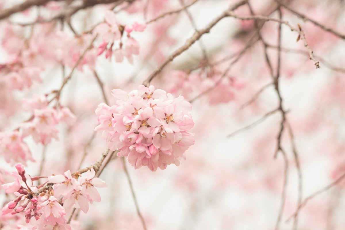 ✧　hana　✧⭐︎おまとめ品4点 アーティスティックなハム太郎
